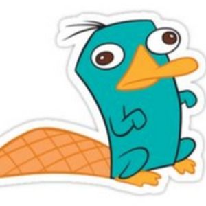 Meet your Posher, Simone